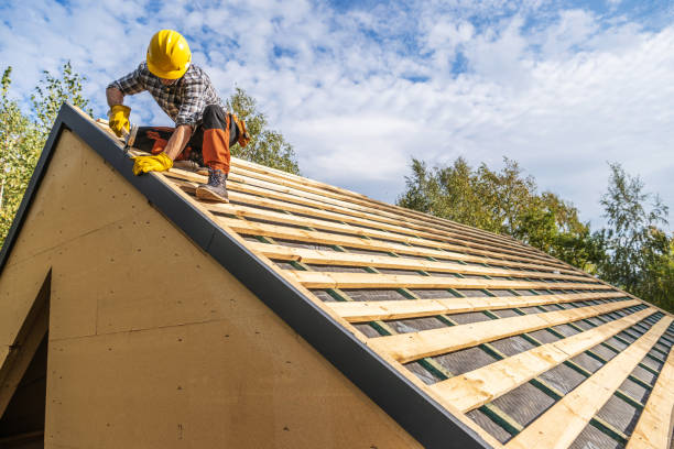 Best Roof Gutter Cleaning  in Hallsville, TX