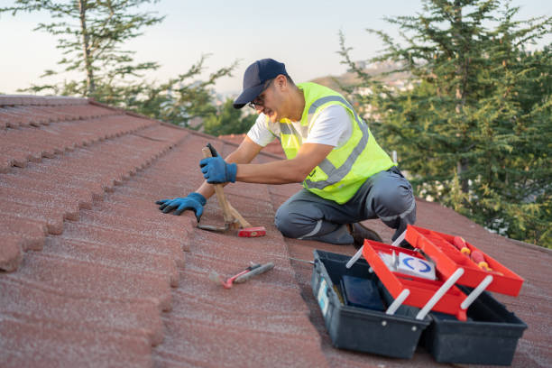 Best Best Roofing Contractors  in Hallsville, TX